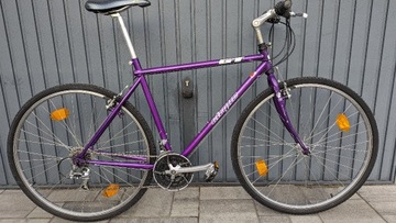 GT Cirque 28" retro cross rower