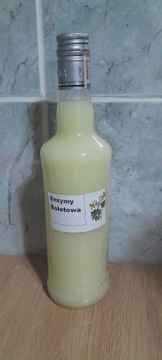 Enzymy kwasy Bołotowa 500 ml