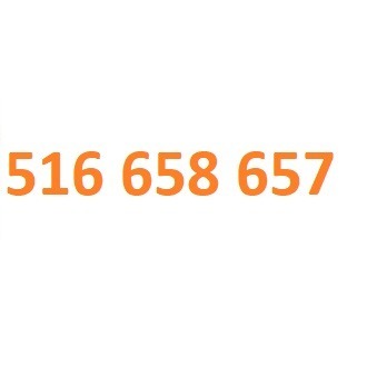 516 658 657 starter orange złoty numer #L 