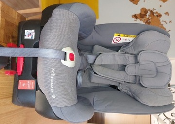 BabySafe Schnauzer Fotelik Samochodowy 0-18 kg