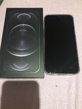 Iphone 12 promax 256 GB 