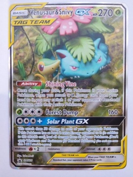 Pokemon Venusaur & Snivy GX (SM 229)