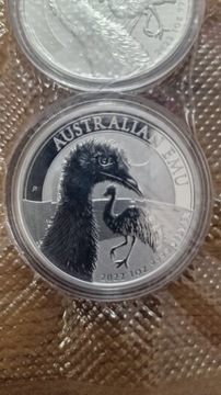 Australijskie Emu rocznik 2022