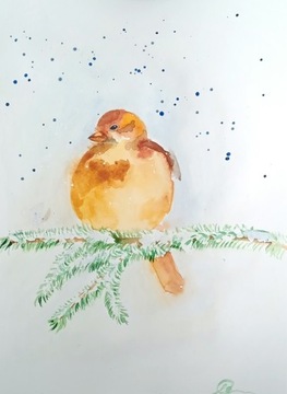 Obrazek akwarela zimowy ptak 