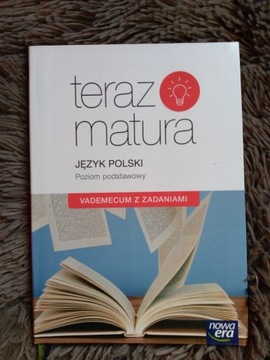 Repetytorium maturalne język polski