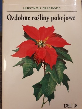 Ozdobne rośliny pokojowe