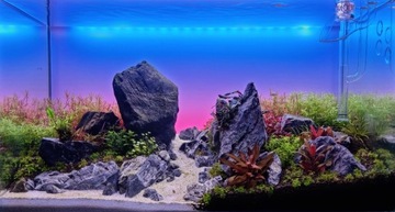 Panel do podświetlenia tyłu akwarium - LED RGB