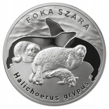 20 ZŁ - FOKA SZARA - 2007r. + folder