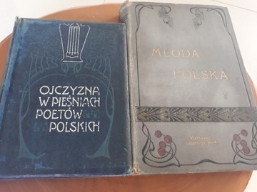 Poezja polska początek XX w secesja 