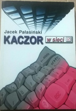 Pałasiński Dziennikarstwo internetowe Reportaż