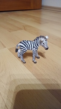 Zebra mała schleich