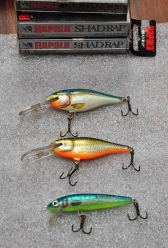 Woblery Rapala SHAD RAP SR-7 zestaw 3 szt