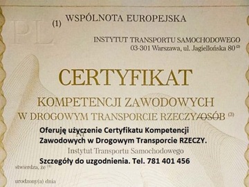 Certyfikat Kompetencji Zawodowych (RZECZY)