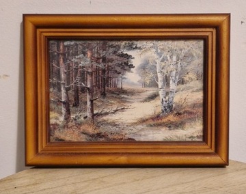 Obraz w ładnej drewnianej ramce rozmiar 21x15 cm 