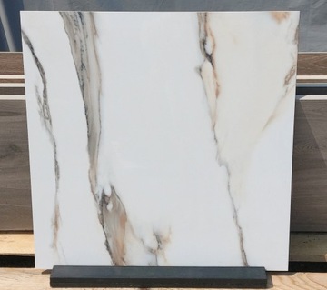 Płytki łazienkowe 60x60 marmur Calacatta gold