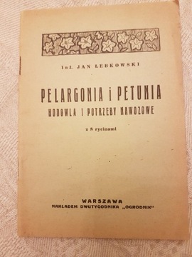 PELARGONIA I PETUNIA HODOWLA I POTRZEBY NAWOZOWE