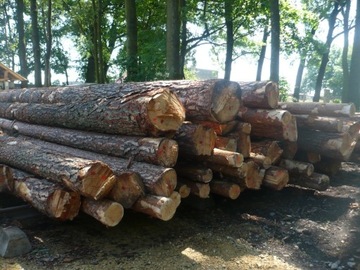 drewno tartaczne dłużyca