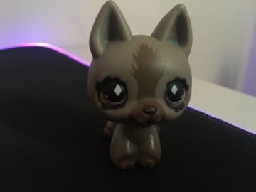 LPS Piesek Littlest Pet Shop 