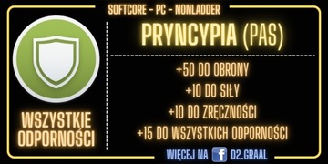 DIABLO 2: pas Pryncypia (NLD, PC)