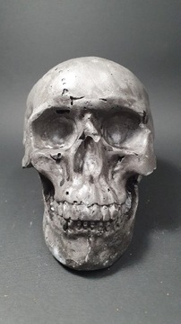 Skarbonka , czaszka ludzka ozdoba do terrarium, Spander