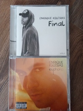 Enrique Iglesias final i Euphoria
