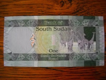 *** BANKNOT 1 FUNT SUDAN (UNC!) ŻYRAFY ***