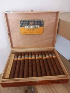 Cygara COHIBA Esplendidos - 12 sztuk w pudełku 