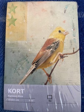 Ikea pocztówki obrazki KORT 10x15 ptaki ptaszki