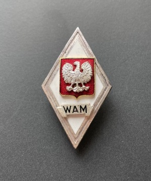 Odznaka absolwenta WAM LWP bez korony