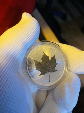 Kanadyjski Liść Klonowy srebra Ruten promocja