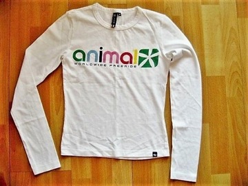ANIMAL bluzka koszulka rozmiar 8