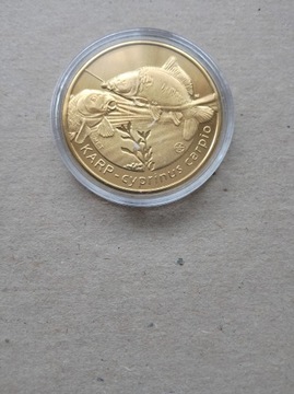 KARP - 10 złotych rybek - Ryby Polskich Akwenów