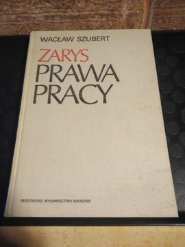 Szubert Zarys prawa pracy