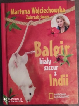 Balgir- biały szczur z Indii