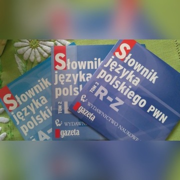 Słownik języka polskiego PWN na CD, 3-częściowy