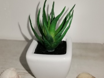 Kaktus stuczny w ceramicznej donicy 10 cm, Nowy