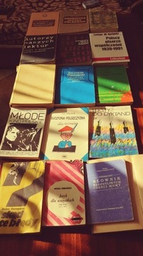 16 książek używanych dla polonisty