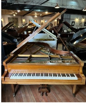 C.BECHSTEIN MODEL C