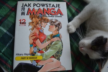 Jak powstaje manga tom 12