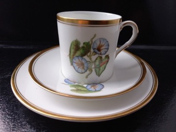 Trio filiżanka Royal Worcester Bone China 