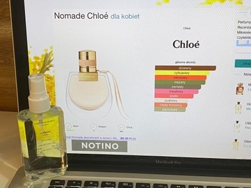 Chloe Nomade 110 ml