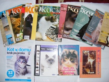 magazyn kot  kocie sprawy w domu rady dla x17 