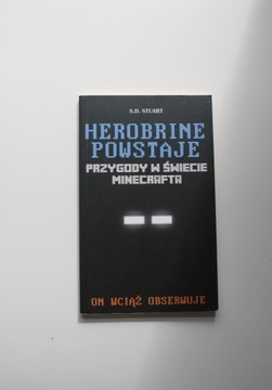 S.D Stuart - Herobrine powstaje, Przygody w świeci