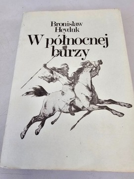 Książka W północnej burzy Bronisław Heyduk