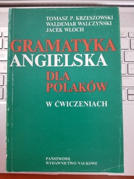 Gramatyka Angielska dla Polaków w ćwiczeniach 