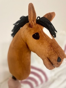 Hobby horse