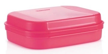 TUPPERWARE Pojemnik Uniwersalny 1,1l Szkatułka