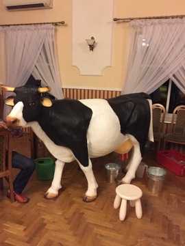 Sztuczna krowa, krowa do dojenia 