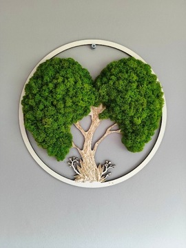 Obraz mech. Drzewo, drzewko z mchu . Serce 30 cm