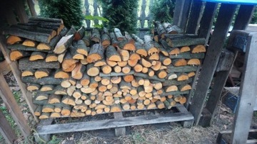 Drewno do wedzenia Olcha 22-24kg ognisko 